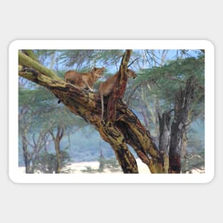 Young Lions in a Tree Sticker